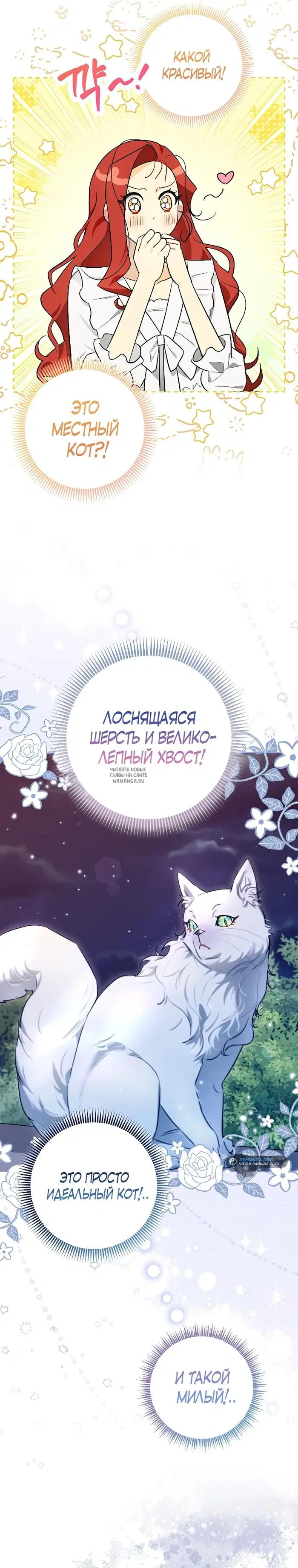Page 26.000