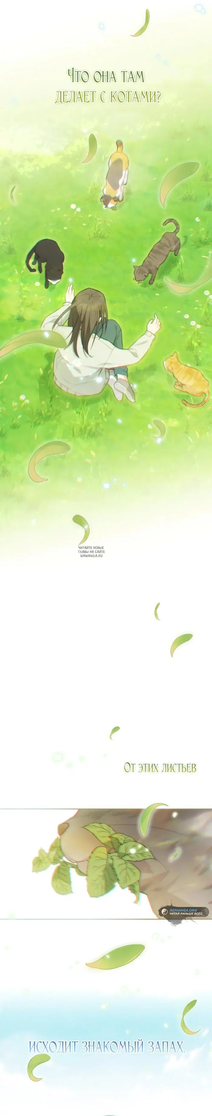 Page 29.000