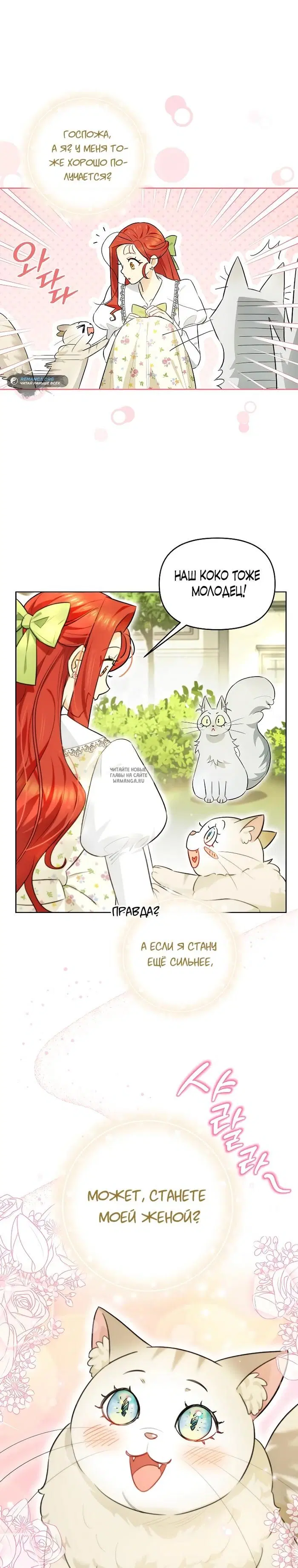 Page 20.000