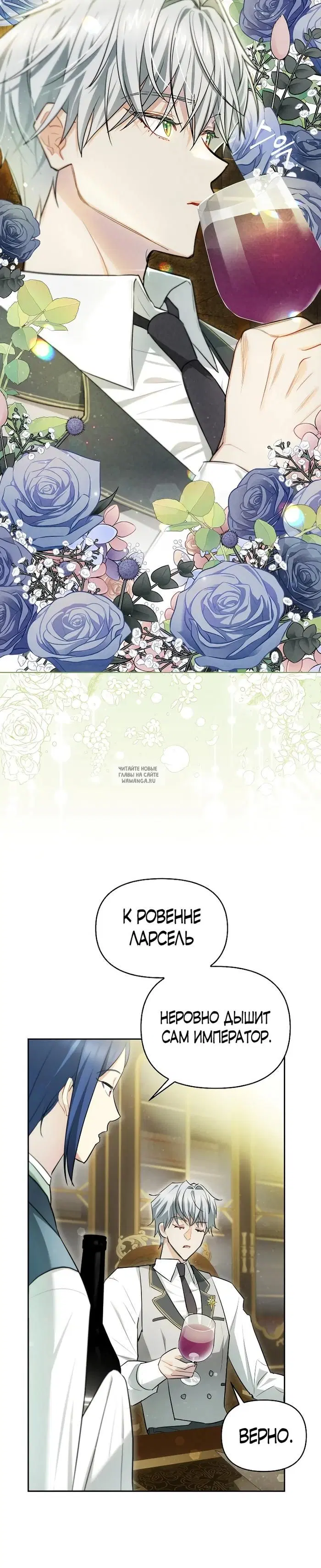 Page 20.000