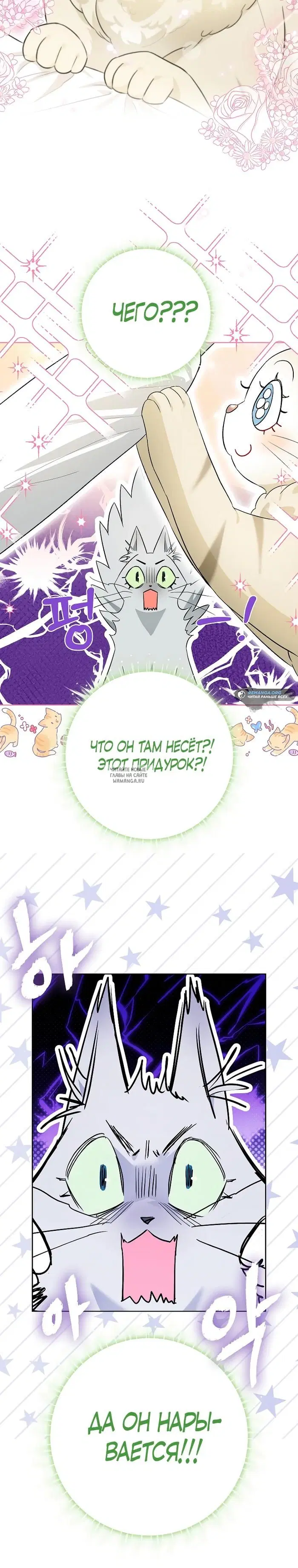Page 21.000
