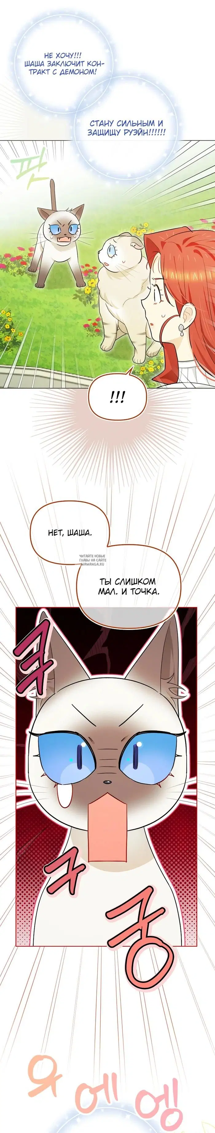 Page 21.000