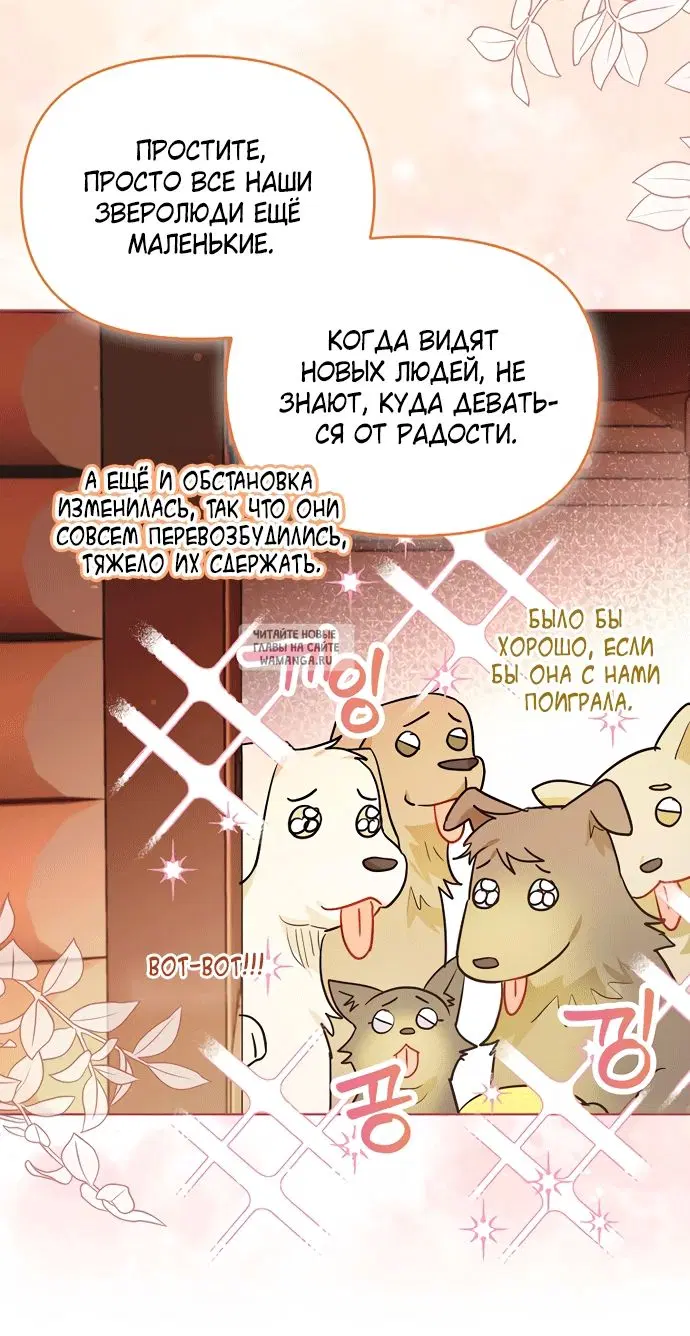 Page 44.000