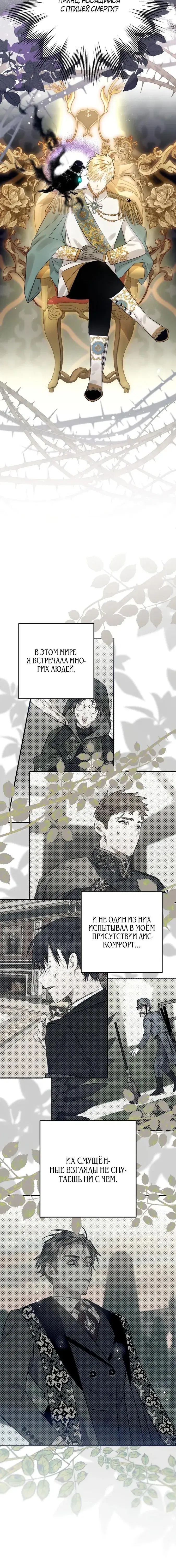 Page 3.001