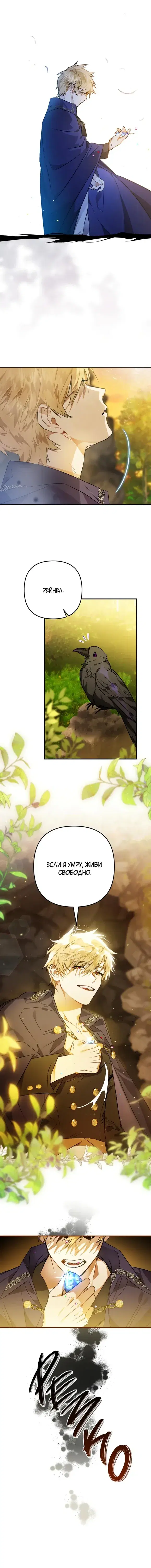 Page 5.001