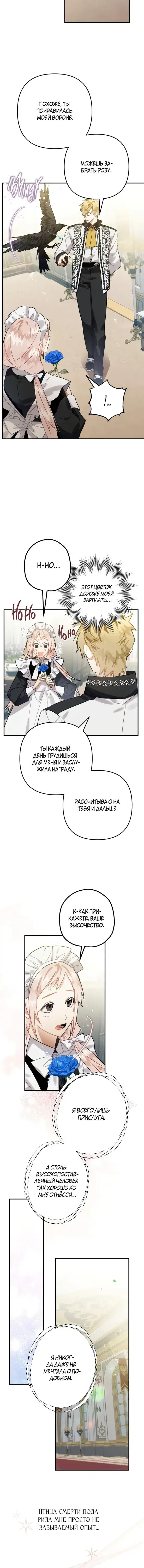Page 5.001