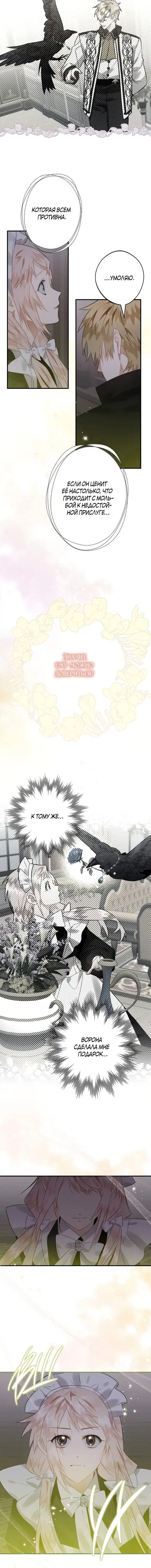 Page 5.001