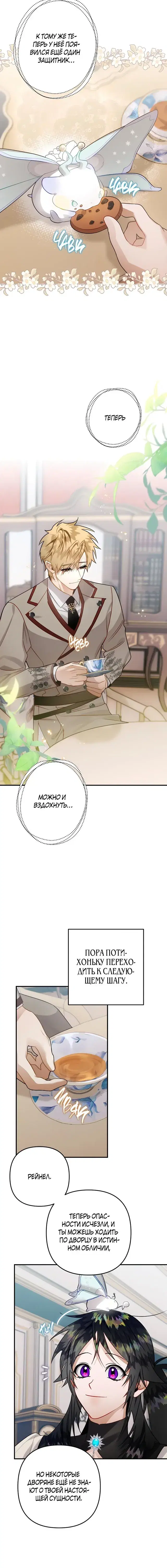 Page 5.001