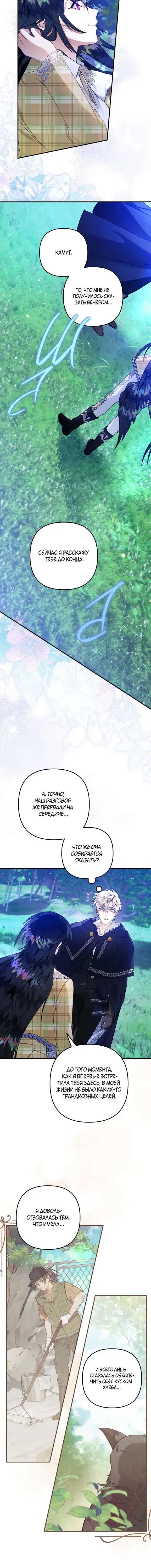 Page 5.001