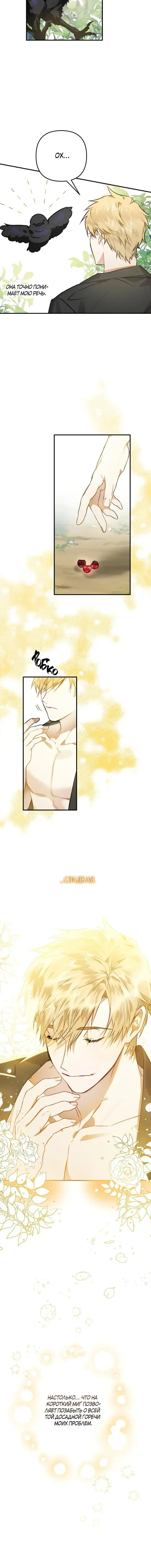 Page 6.001