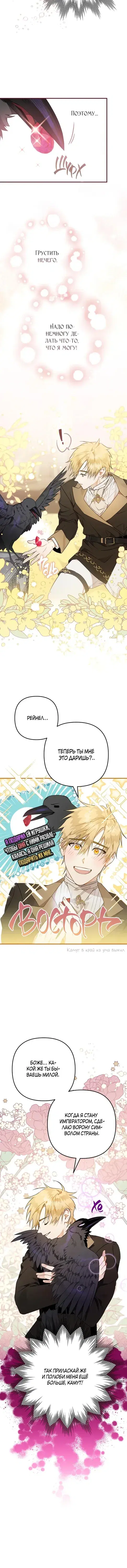 Page 6.001