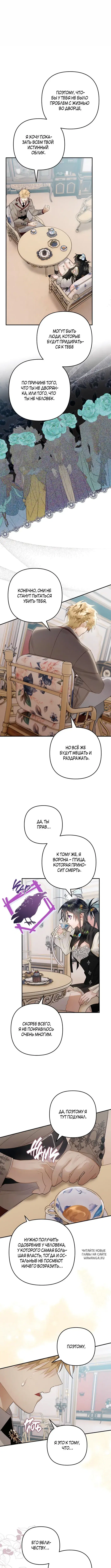 Page 6.000