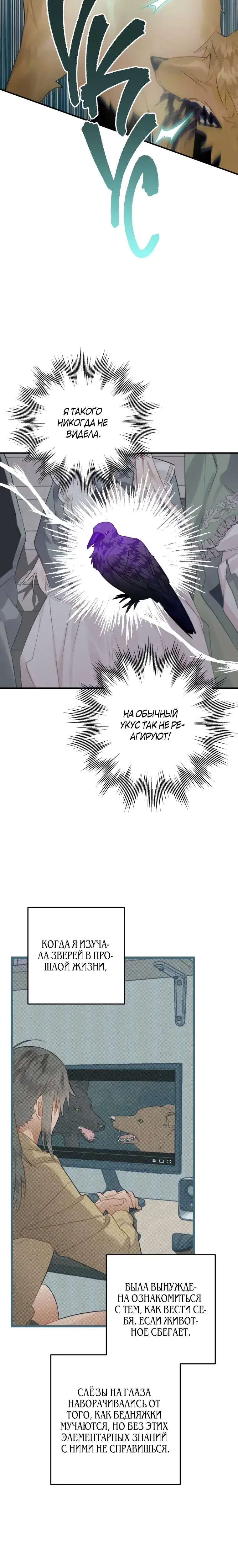 Page 7.001