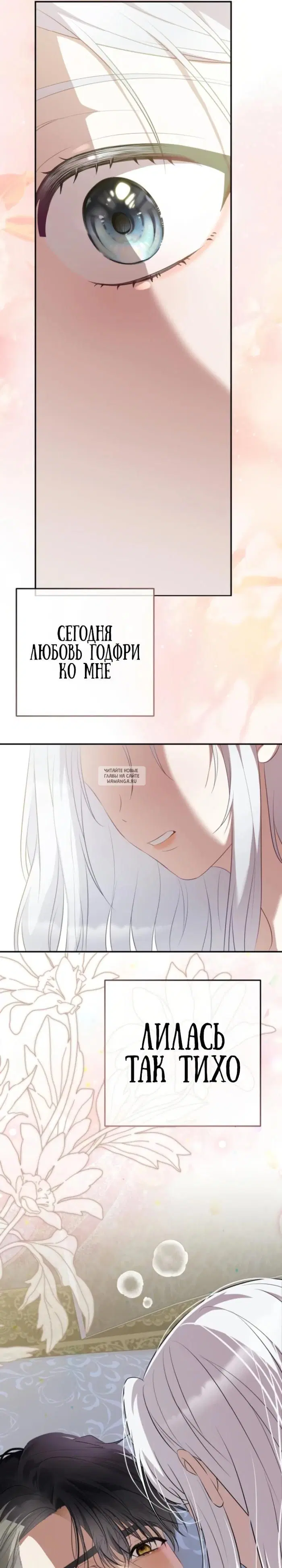 Page 31.000