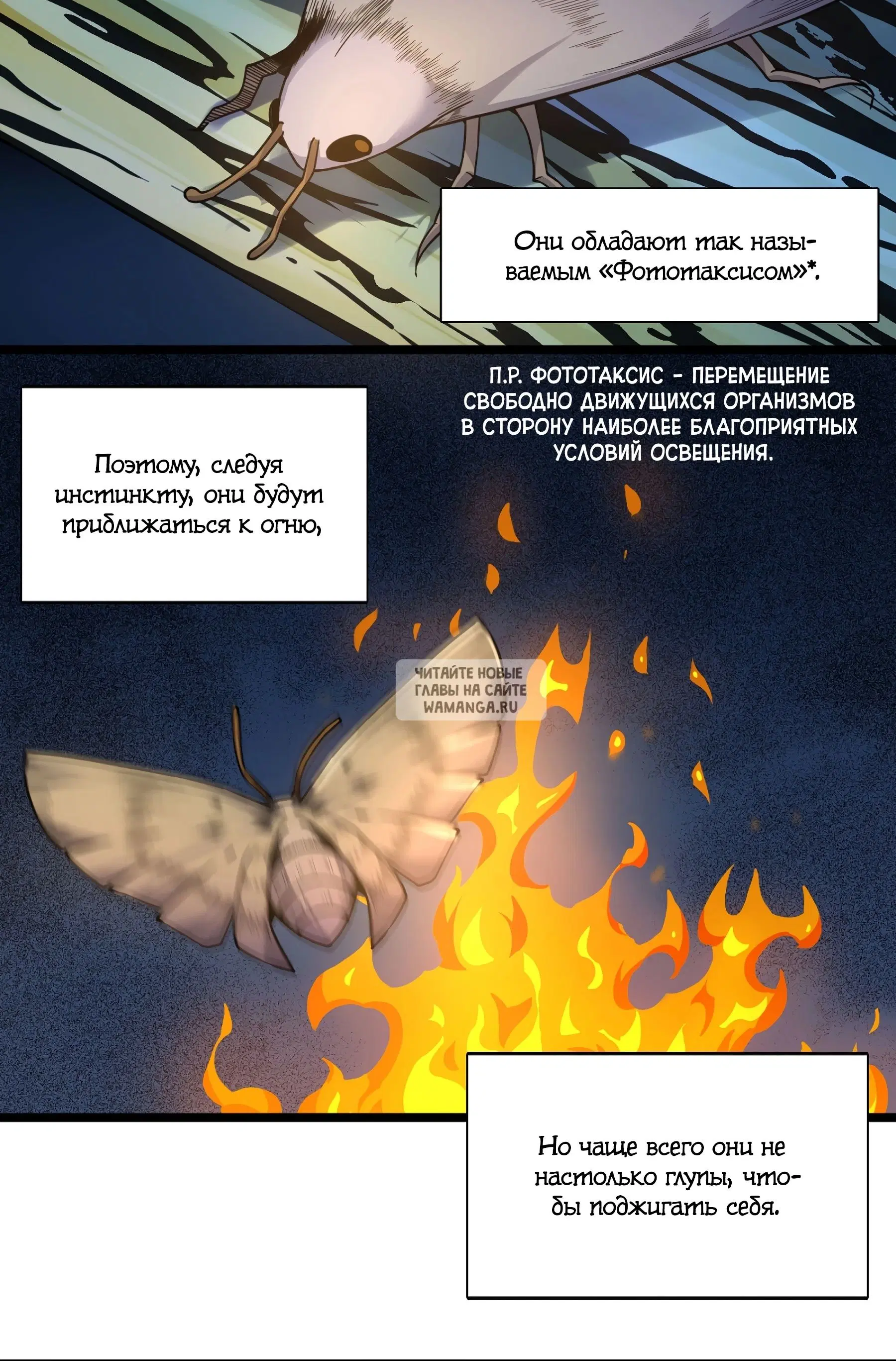 Page 16.000