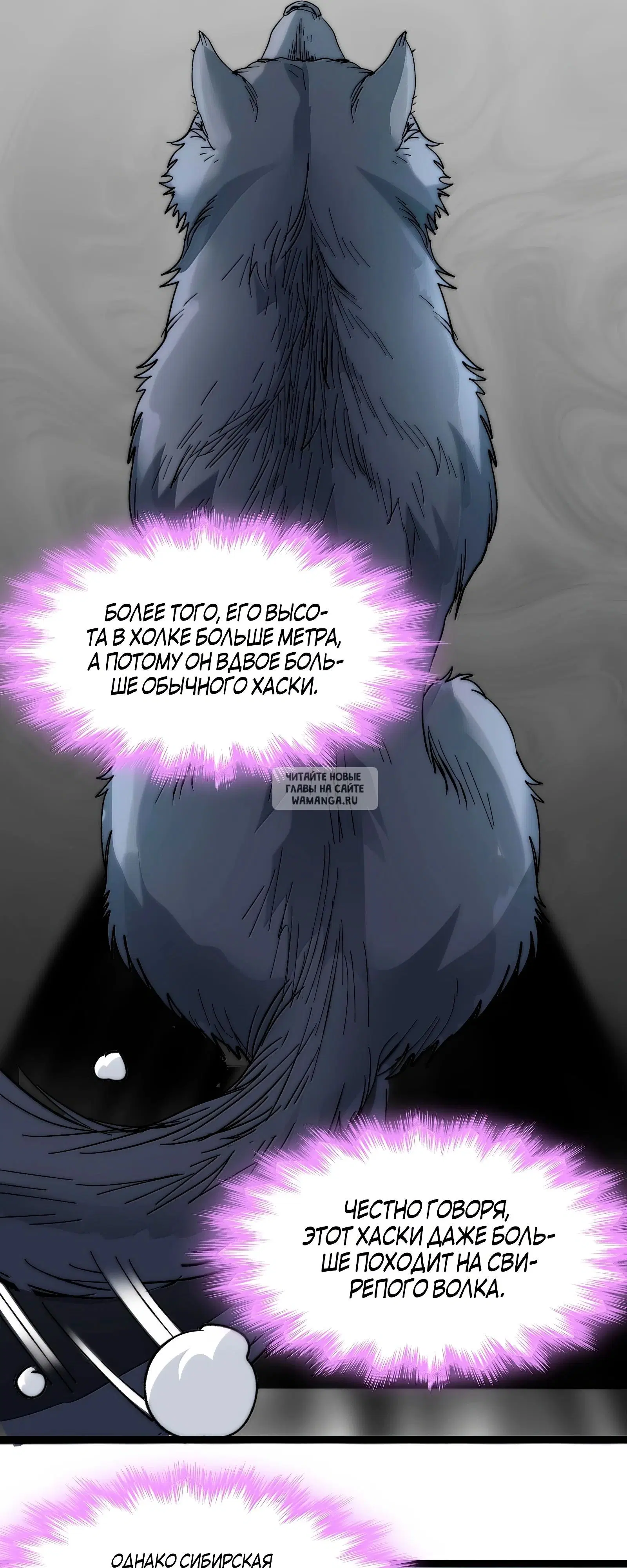 Page 16.000