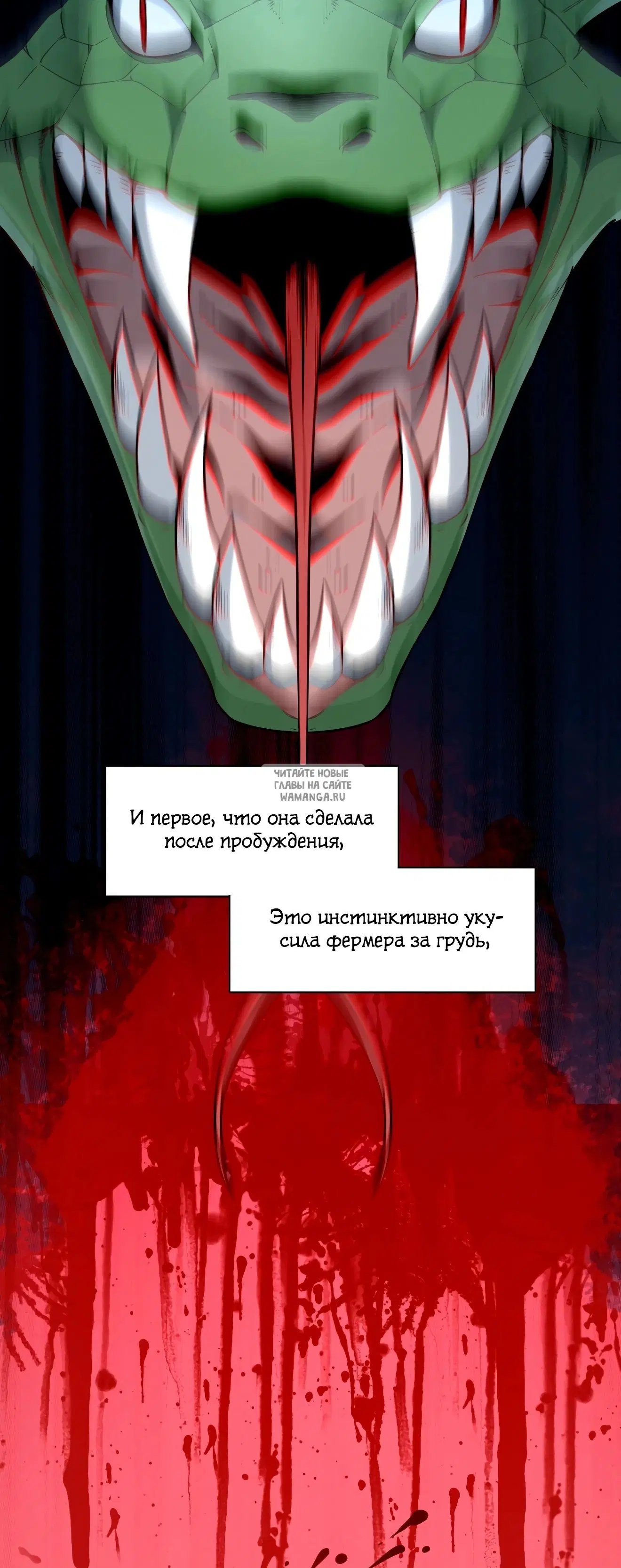 Page 20.000