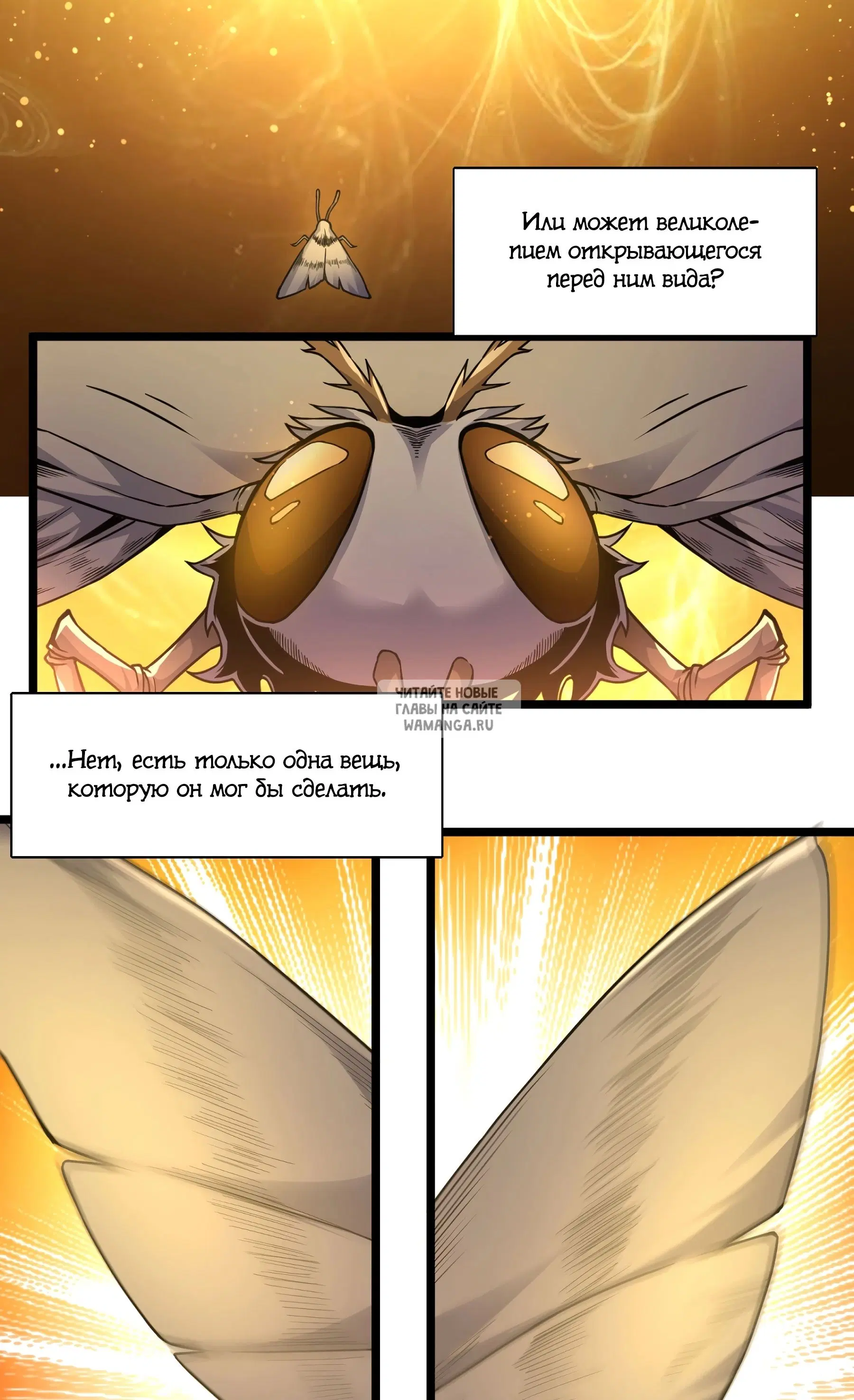 Page 20.000