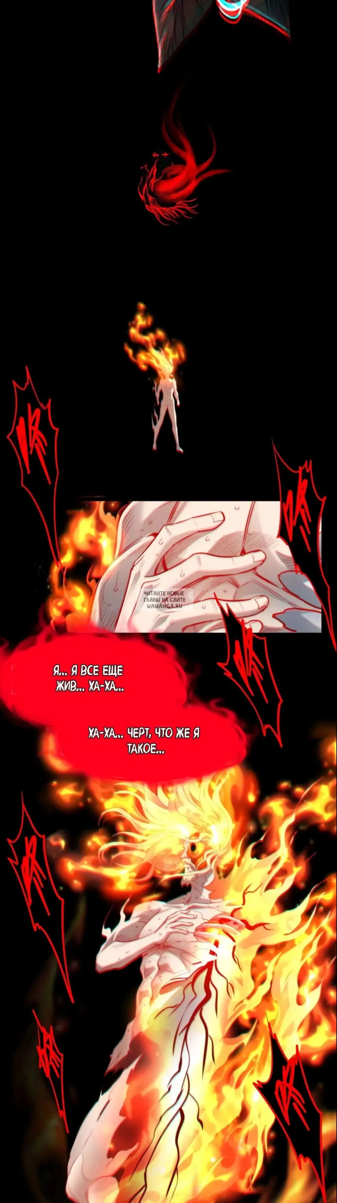 Page 31.000