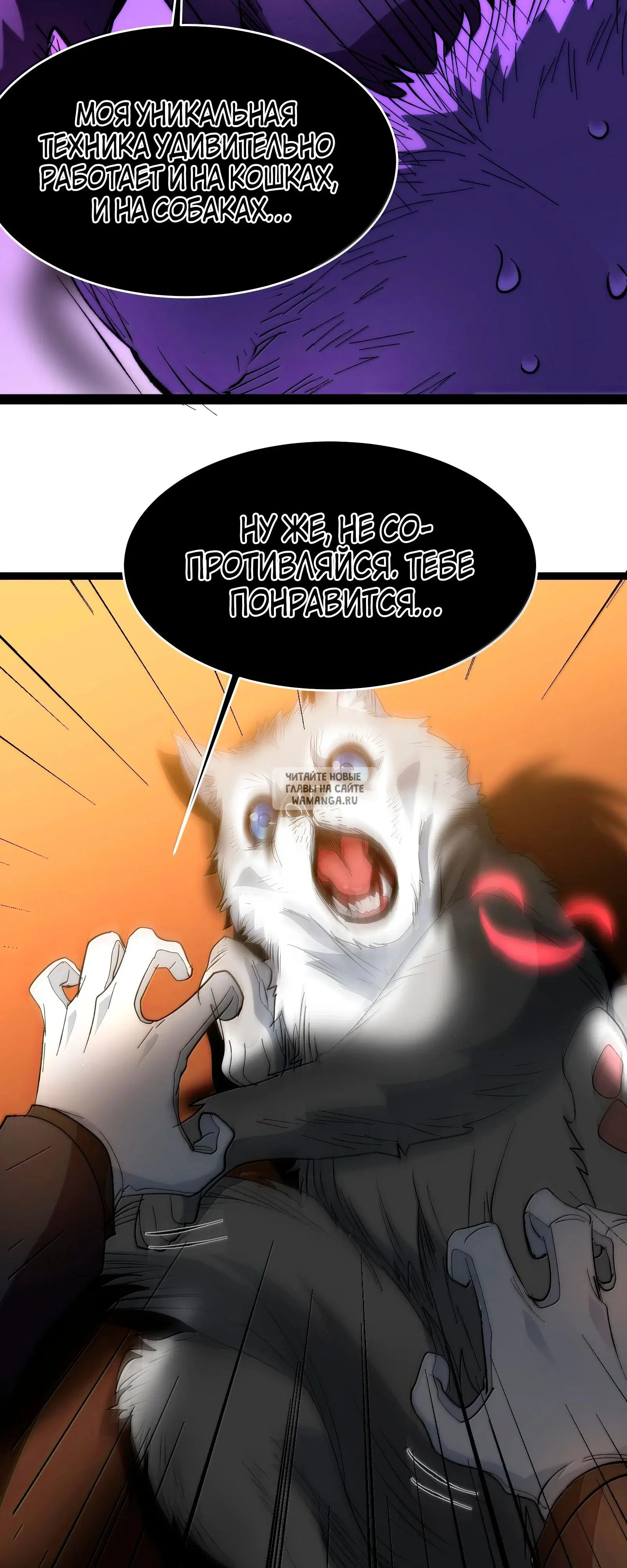 Page 40.000