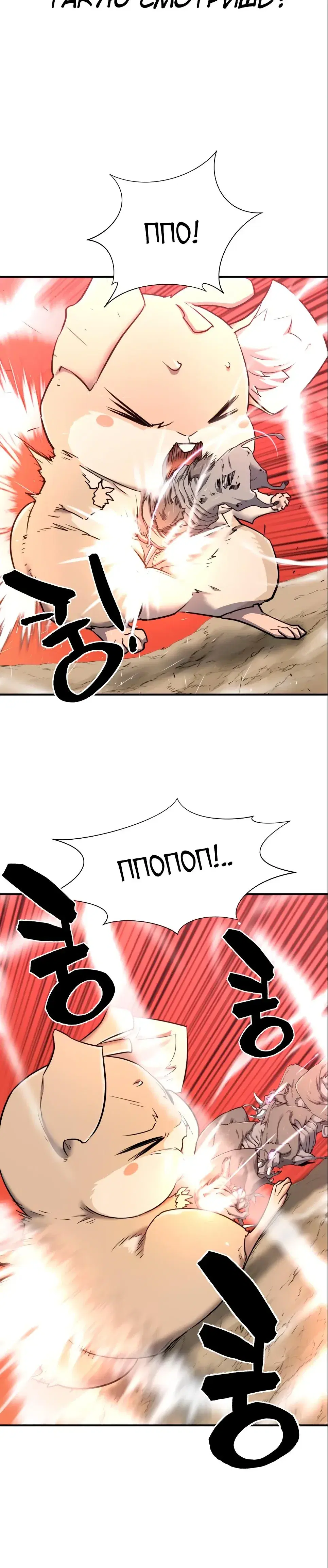 Page 5.001