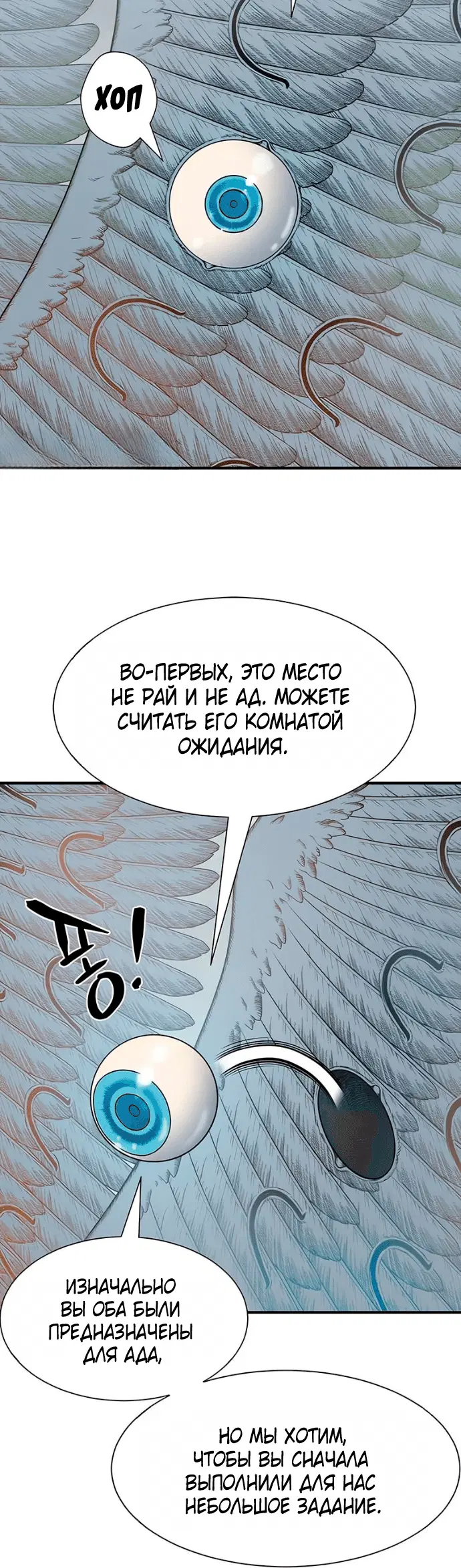 Page 5.001