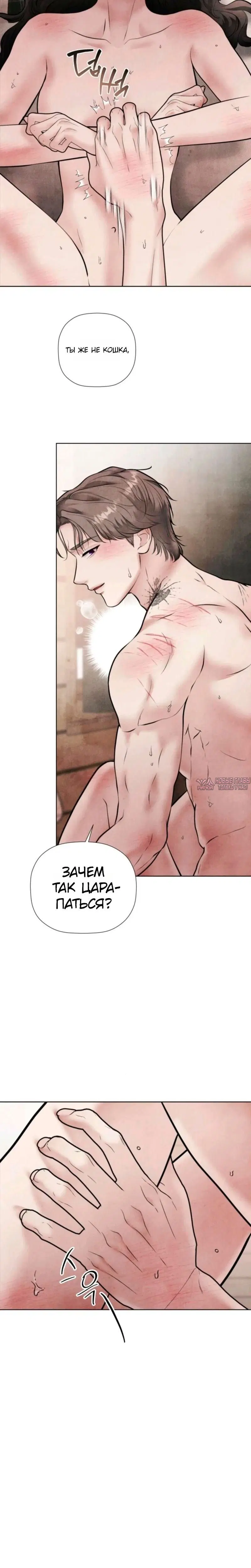 Page 3.001