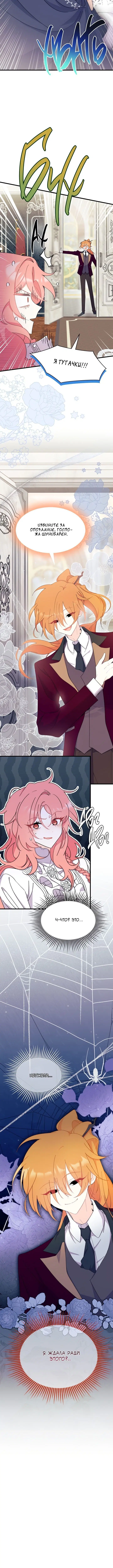 Page 4.003