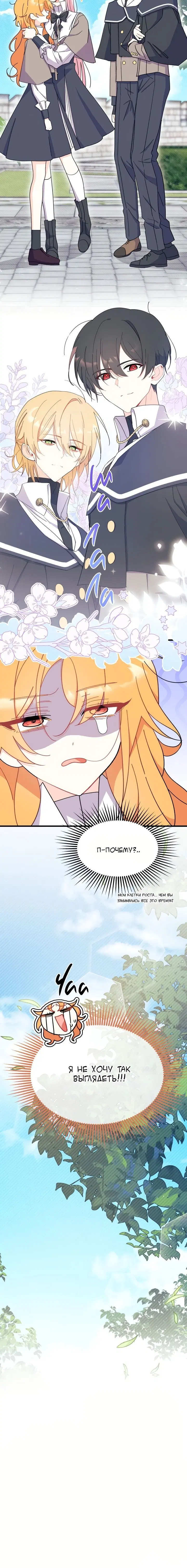 Page 4.003