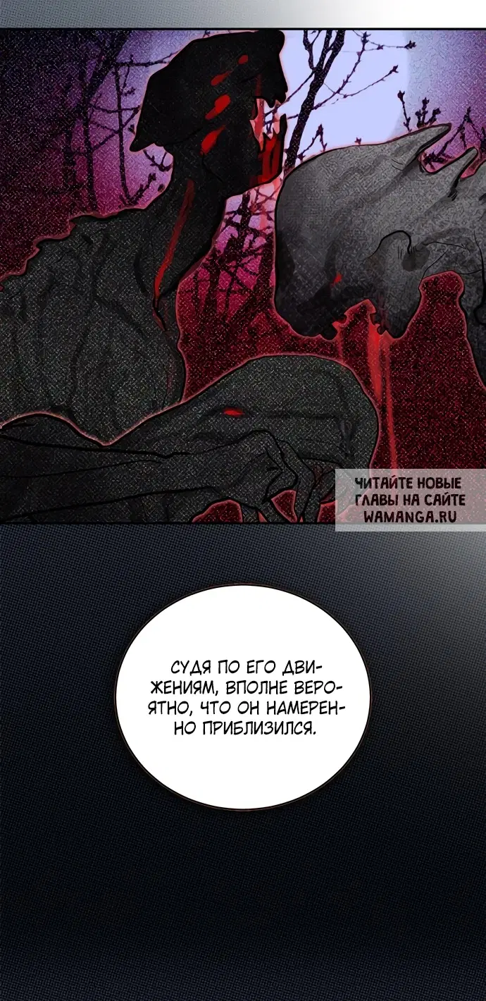 Page 36.000