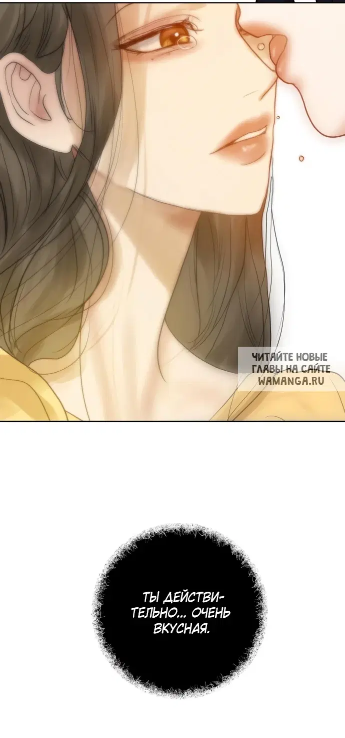 Page 33.000