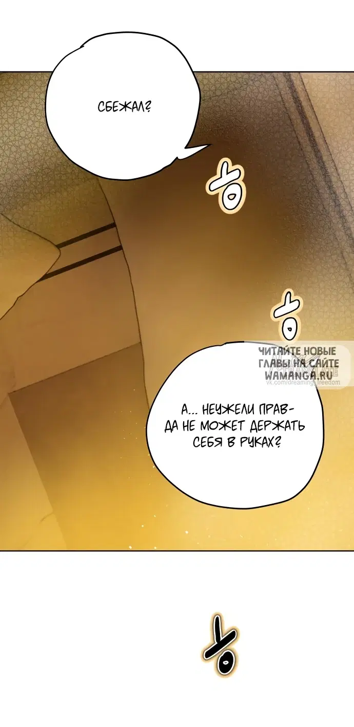 Page 41.000