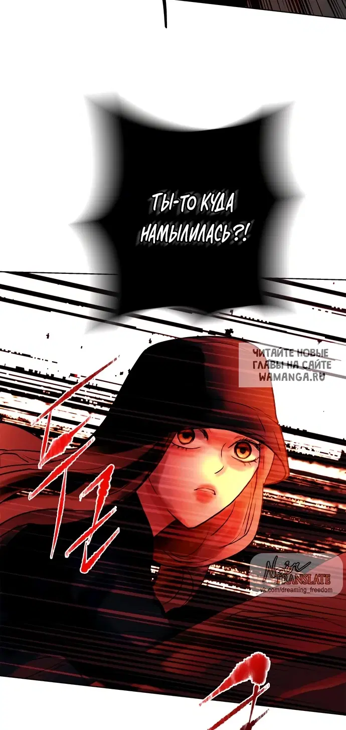Page 51.000