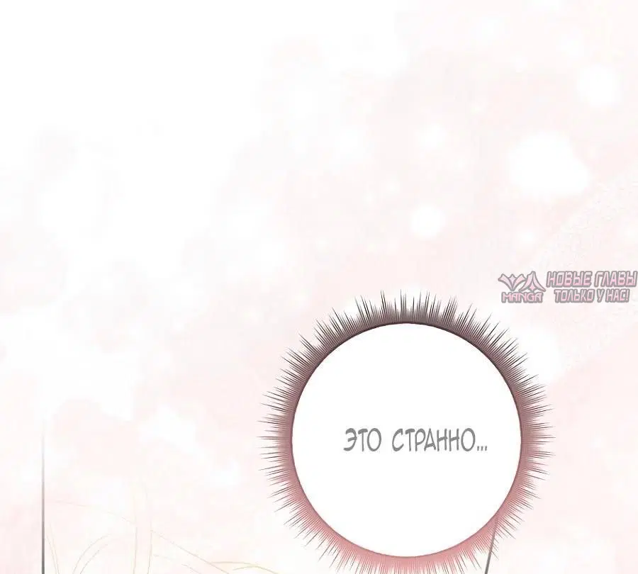 Page 51.000
