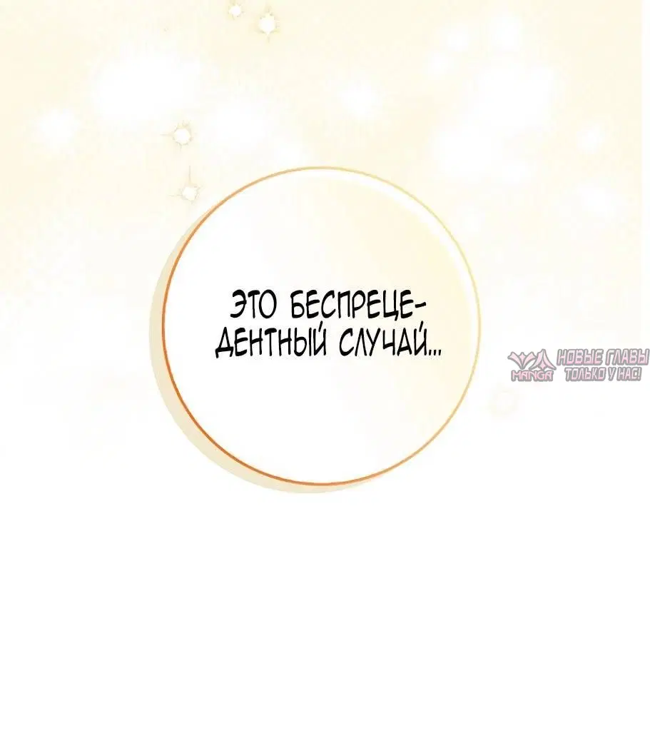 Page 81.000