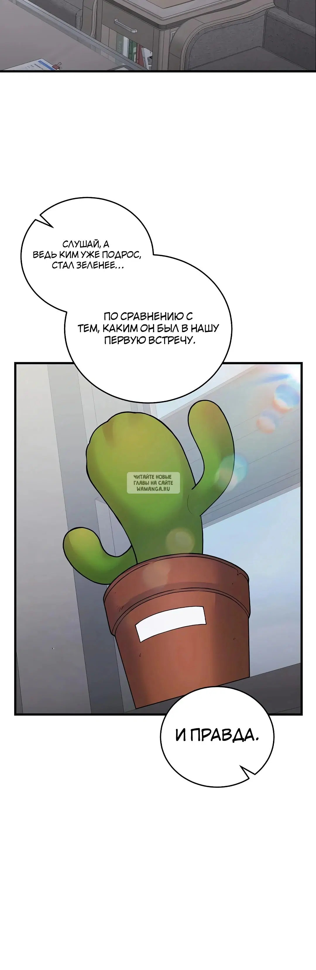 Page 36.000