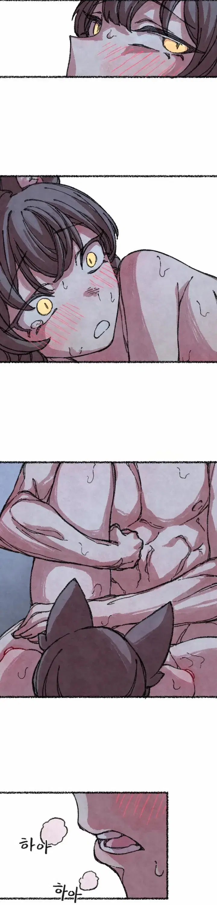 Page 5.001