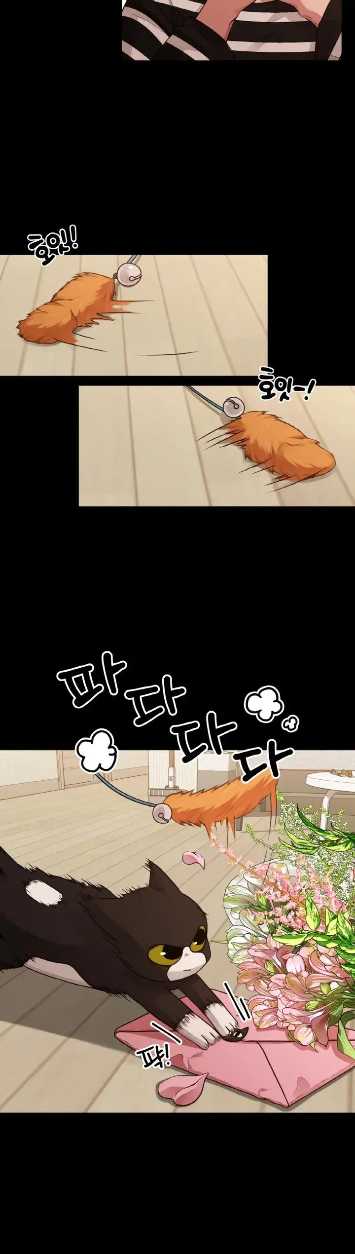 Page 6.001