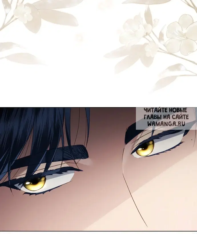 Page 36.000