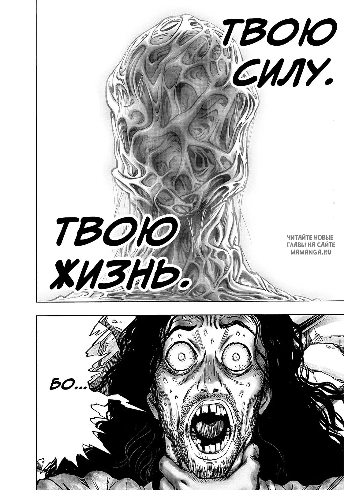 Page 31.000