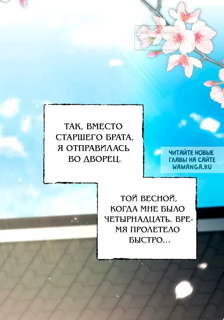 Page 36.000