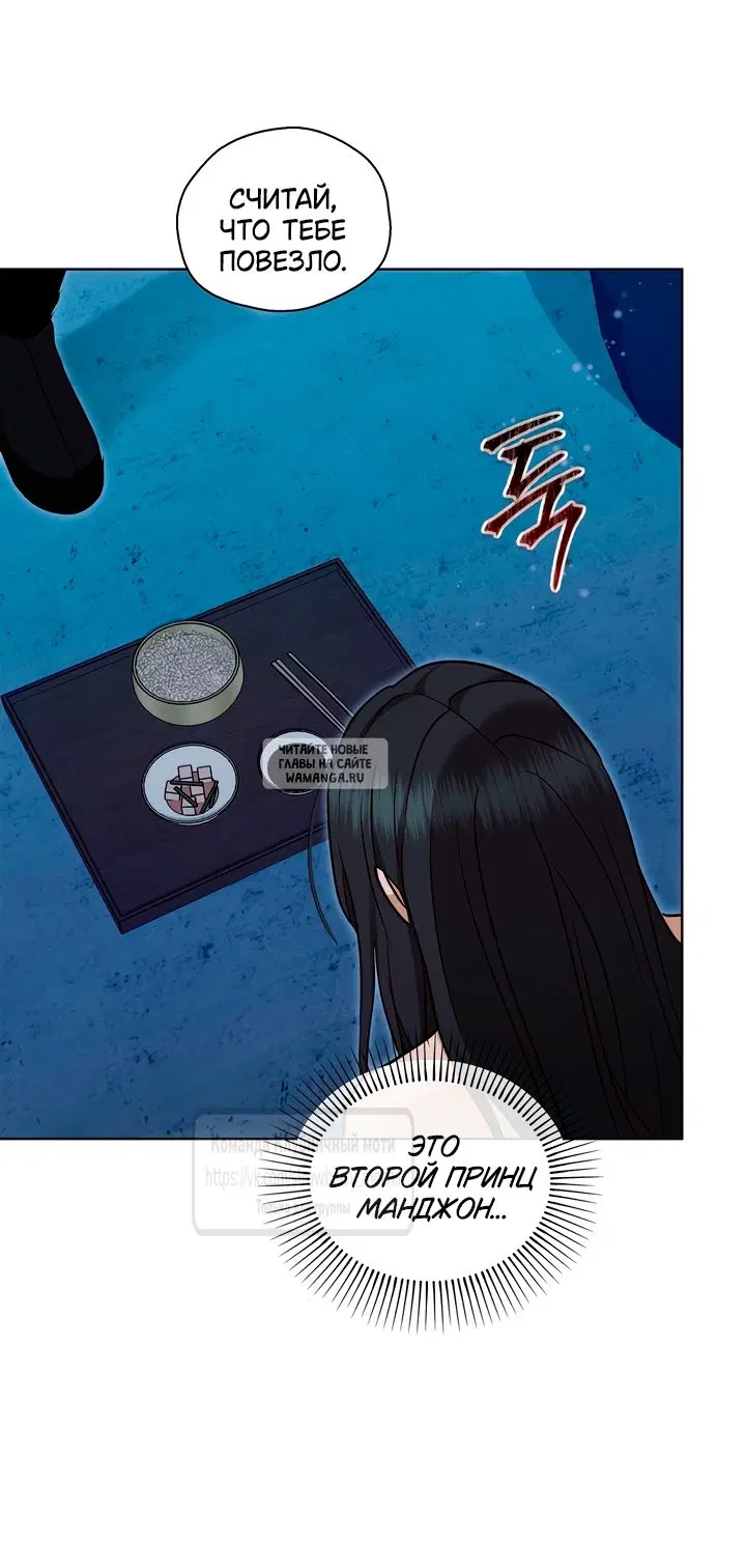 Page 51.000