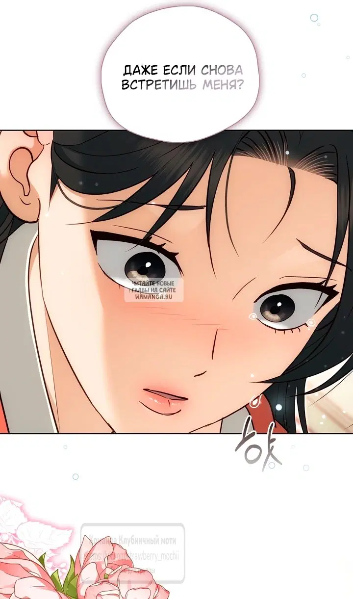 Page 51.000