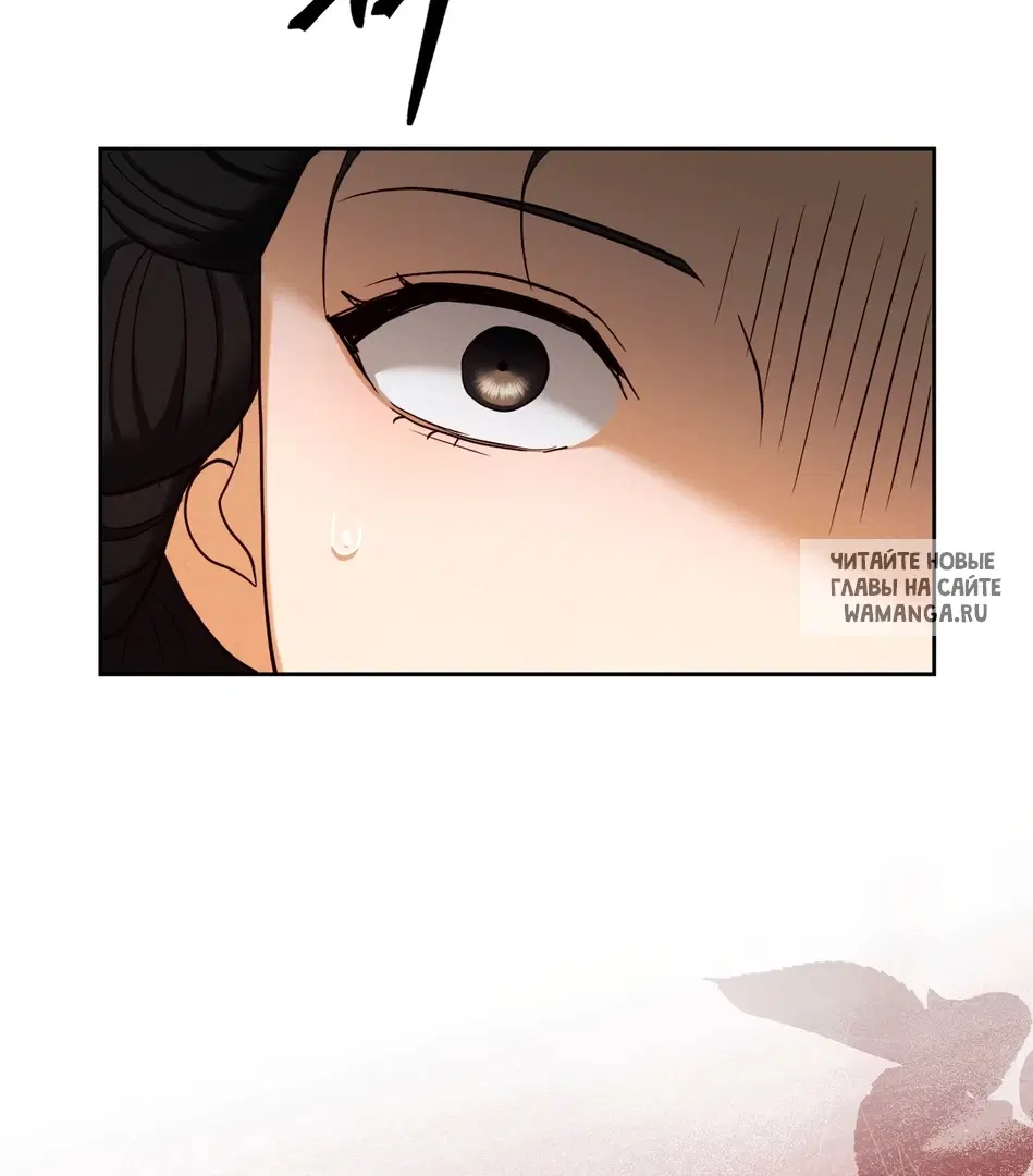 Page 53.000
