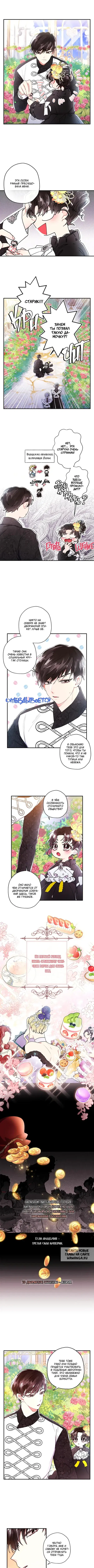 Page 3.000