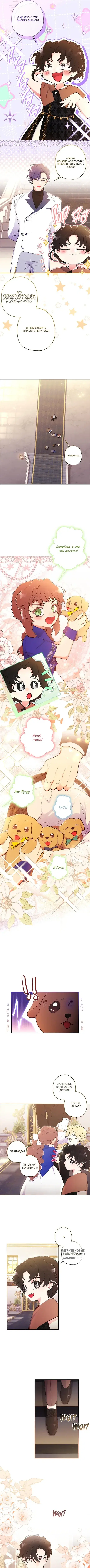 Page 3.000