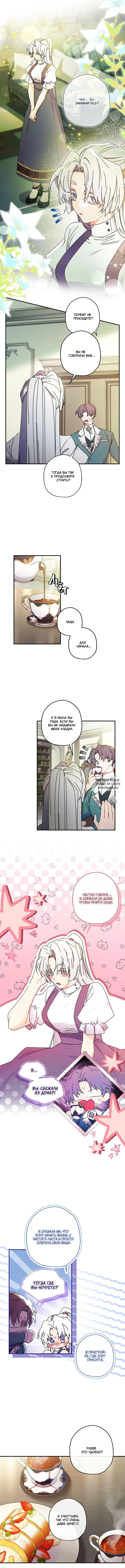 Page 3.000