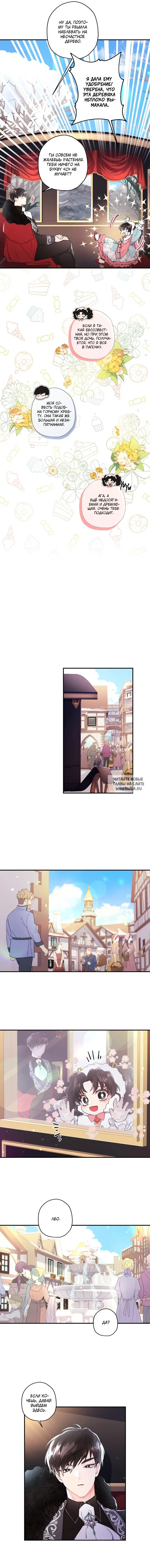 Page 6.000