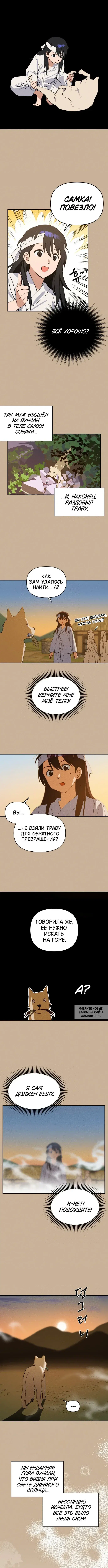 Page 5.000