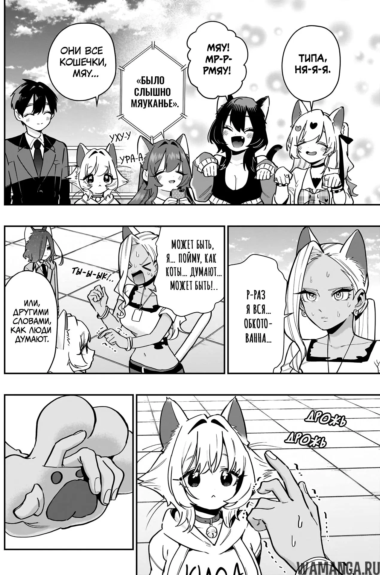 Page 8.000